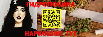 apvp Гусев