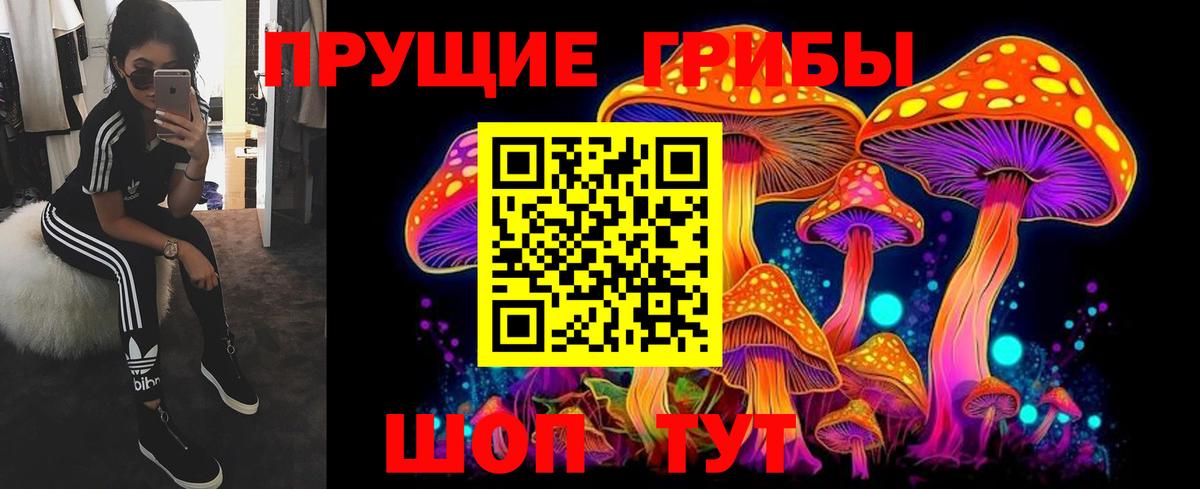 Псилоцибиновые грибы прущие грибы Калуга